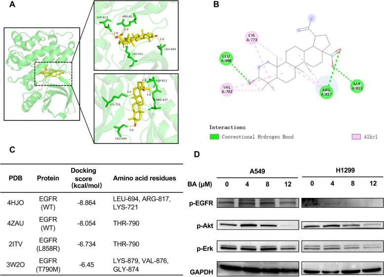 https://cdn.ncbi.nlm.nih.gov/pmc/blobs/5282/11103851/9221b488ae02/12931_2024_2844_Fig1_HTML.jpg