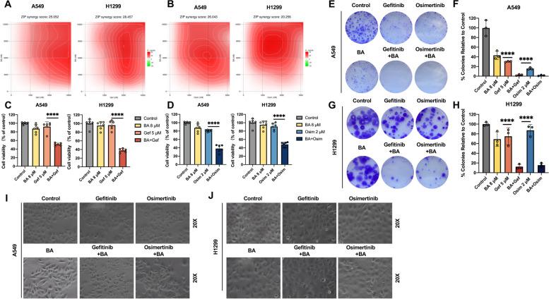 https://cdn.ncbi.nlm.nih.gov/pmc/blobs/5282/11103851/9aeef287fdf4/12931_2024_2844_Fig2_HTML.jpg
