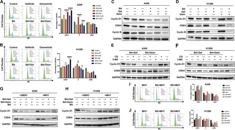 https://cdn.ncbi.nlm.nih.gov/pmc/blobs/5282/11103851/a8f97e1bad0c/12931_2024_2844_Fig4_HTML.jpg