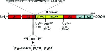 https://cdn.ncbi.nlm.nih.gov/pmc/blobs/5282/2946813/8167b4d3e40c/bi-2010-01097t_0001.jpg