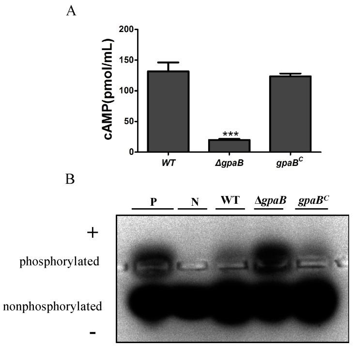 https://cdn.ncbi.nlm.nih.gov/pmc/blobs/5282/5869405/3db385fba292/toxins-10-00117-g008.jpg