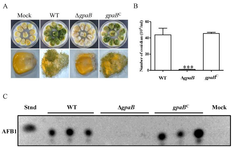 https://cdn.ncbi.nlm.nih.gov/pmc/blobs/5282/5869405/8f643fd6a25f/toxins-10-00117-g007.jpg