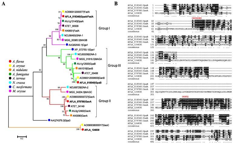 https://cdn.ncbi.nlm.nih.gov/pmc/blobs/5282/5869405/ed73ea56cd59/toxins-10-00117-g001.jpg
