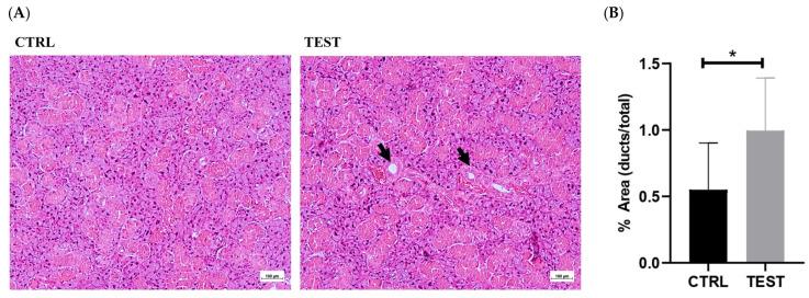 https://cdn.ncbi.nlm.nih.gov/pmc/blobs/5284/10778877/d917c38a59d6/ijms-25-00550-g003.jpg