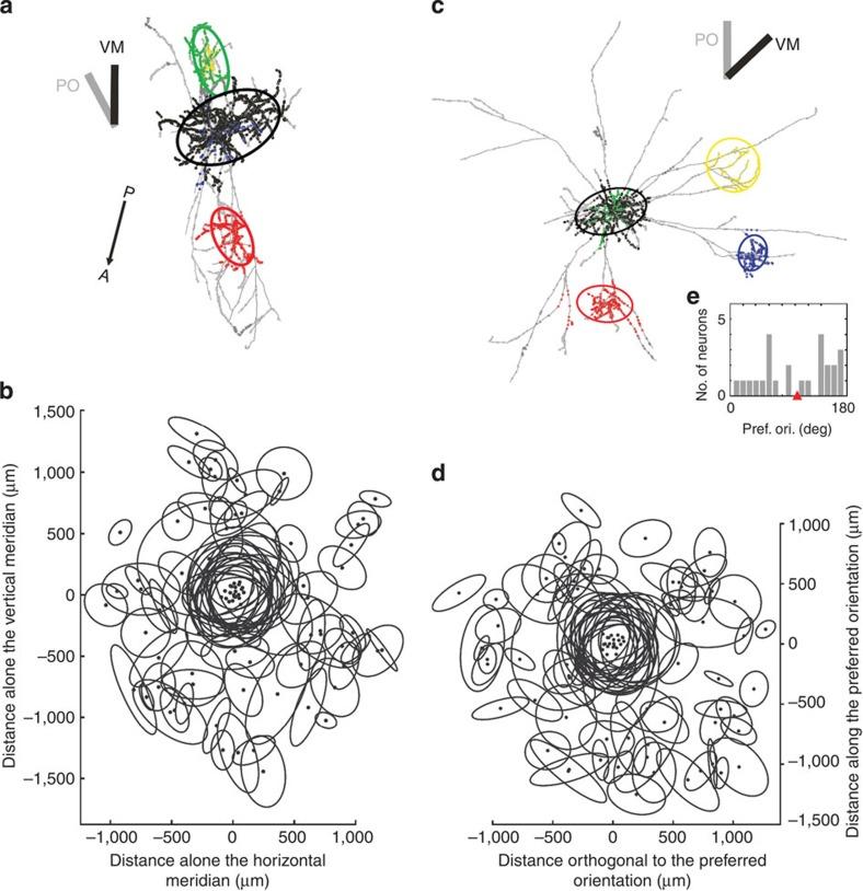 https://cdn.ncbi.nlm.nih.gov/pmc/blobs/5284/4354012/8fcf55a10a01/ncomms6252-f7.jpg
