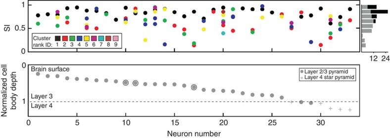https://cdn.ncbi.nlm.nih.gov/pmc/blobs/5284/4354012/d4eb9baaac32/ncomms6252-f3.jpg
