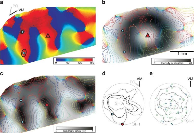 https://cdn.ncbi.nlm.nih.gov/pmc/blobs/5284/4354012/ec745d5d7662/ncomms6252-f8.jpg