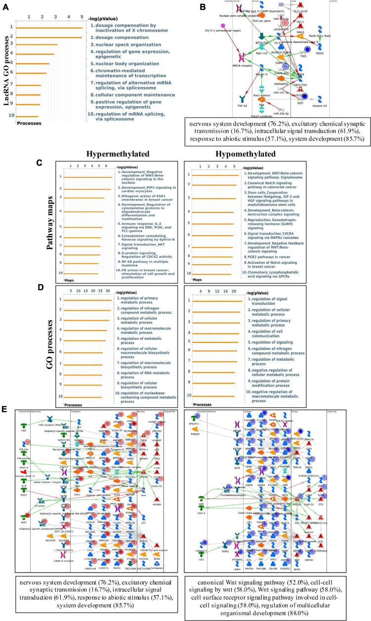 https://cdn.ncbi.nlm.nih.gov/pmc/blobs/5285/8267473/68bf6ca00abc/fcell-09-670528-g004.jpg