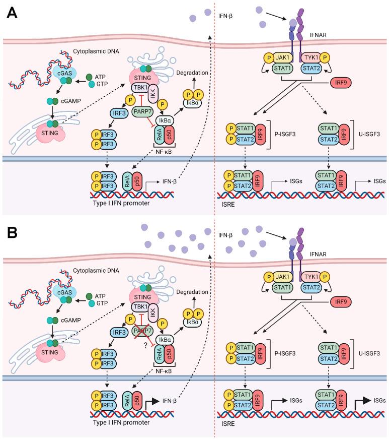 https://cdn.ncbi.nlm.nih.gov/pmc/blobs/5286/10377955/391a1303f220/cancers-15-03689-g007.jpg