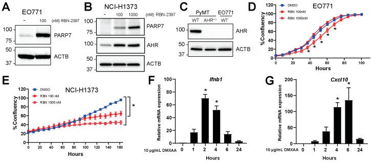 https://cdn.ncbi.nlm.nih.gov/pmc/blobs/5286/10377955/54fcadb044a8/cancers-15-03689-g001.jpg