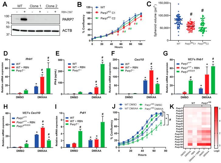 https://cdn.ncbi.nlm.nih.gov/pmc/blobs/5286/10377955/6b105232d582/cancers-15-03689-g002.jpg