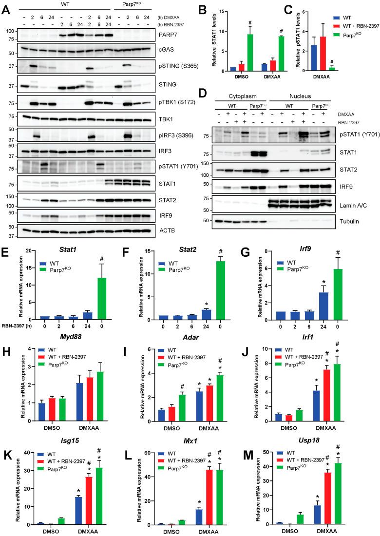 https://cdn.ncbi.nlm.nih.gov/pmc/blobs/5286/10377955/795bc25c3da2/cancers-15-03689-g003.jpg