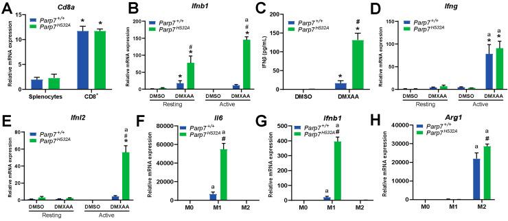 https://cdn.ncbi.nlm.nih.gov/pmc/blobs/5286/10377955/c80a2cb19719/cancers-15-03689-g006.jpg