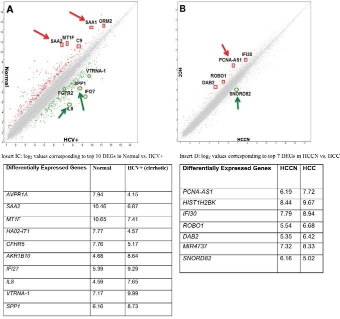 https://cdn.ncbi.nlm.nih.gov/pmc/blobs/5286/5601746/5ac283b40c91/oncotarget-08-59455-g001.jpg