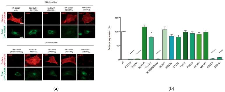 https://cdn.ncbi.nlm.nih.gov/pmc/blobs/5287/8657601/6bd6ffda3616/ijms-22-12656-g003.jpg