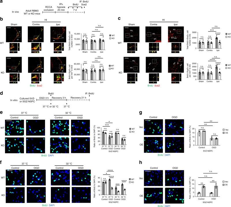 https://cdn.ncbi.nlm.nih.gov/pmc/blobs/5288/6726629/9512240f0711/41467_2019_11870_Fig1_HTML.jpg