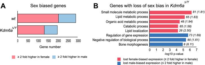 https://cdn.ncbi.nlm.nih.gov/pmc/blobs/5288/9308343/ac9cba90b449/13293_2022_452_Fig2_HTML.jpg