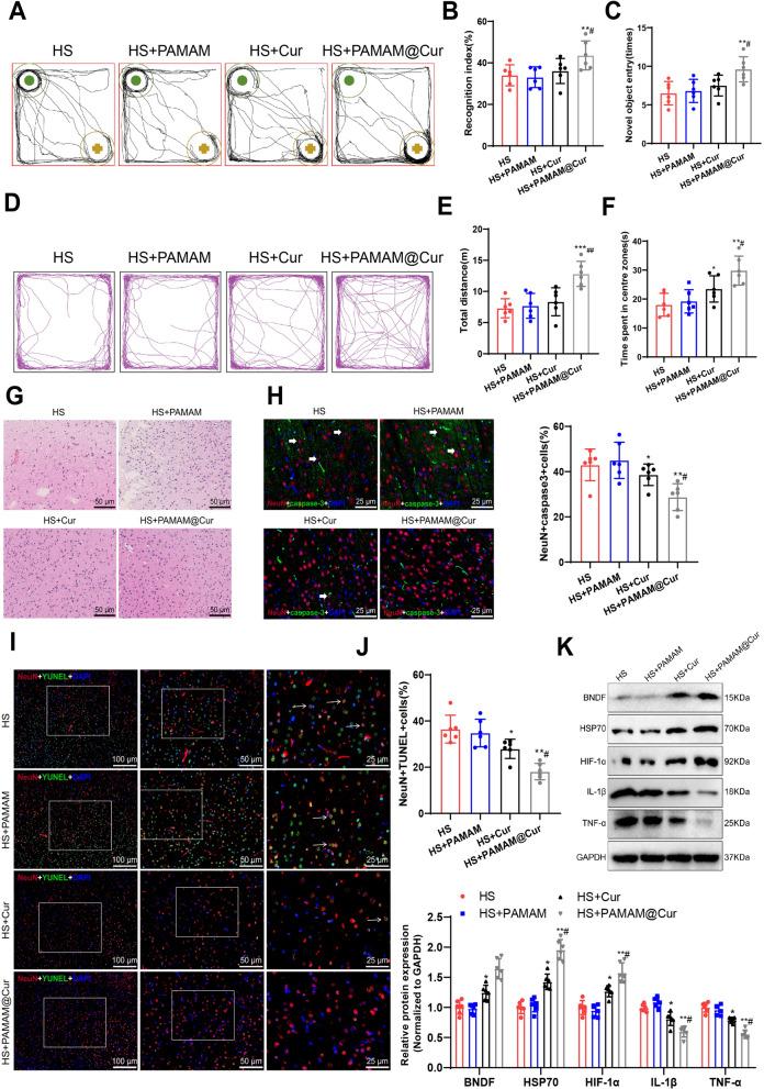 https://cdn.ncbi.nlm.nih.gov/pmc/blobs/528a/11396141/027e084850b2/12951_2024_2771_Fig5_HTML.jpg