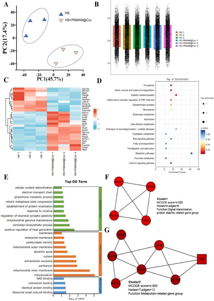 https://cdn.ncbi.nlm.nih.gov/pmc/blobs/528a/11396141/4816c4e35160/12951_2024_2771_Fig7_HTML.jpg