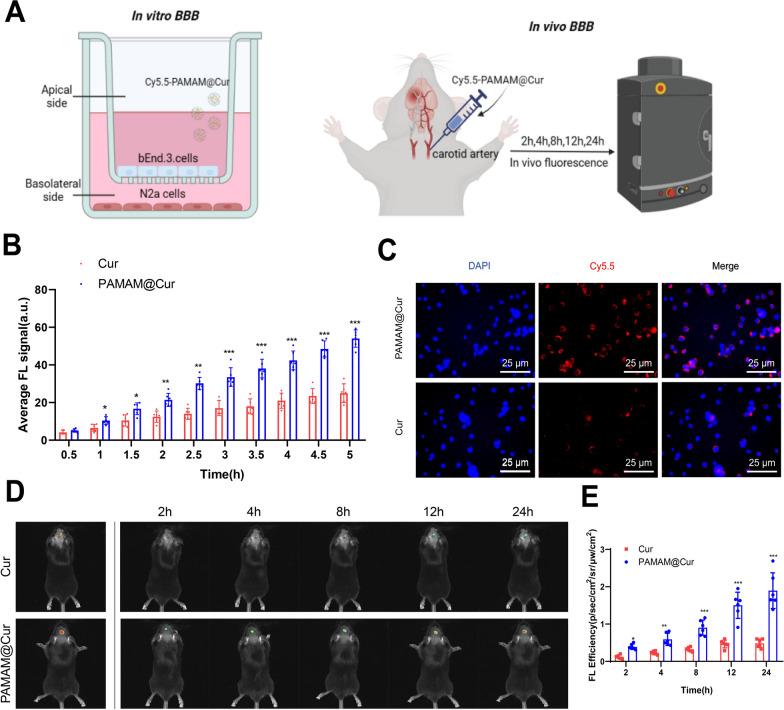 https://cdn.ncbi.nlm.nih.gov/pmc/blobs/528a/11396141/51a1fbe8ed91/12951_2024_2771_Fig4_HTML.jpg