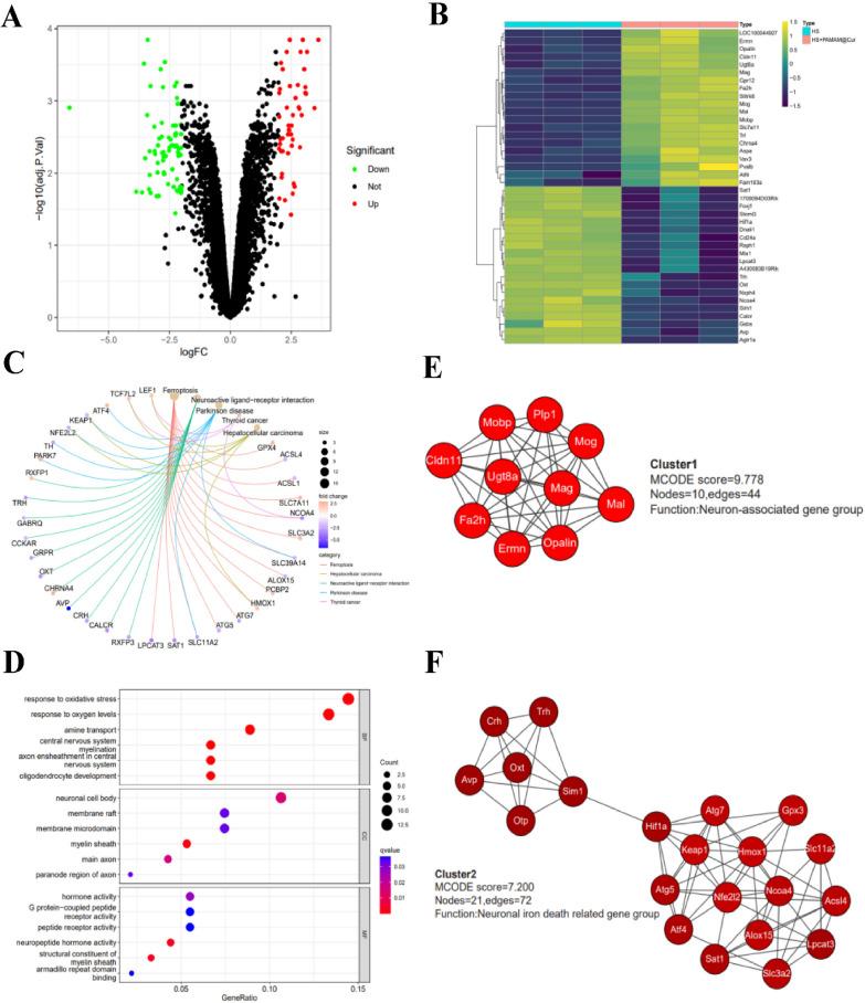 https://cdn.ncbi.nlm.nih.gov/pmc/blobs/528a/11396141/a29cc46617ee/12951_2024_2771_Fig6_HTML.jpg
