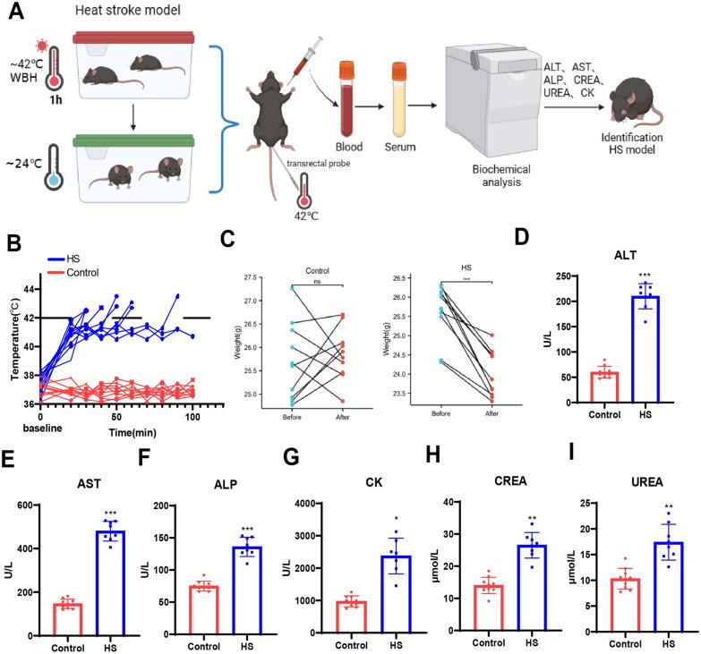 https://cdn.ncbi.nlm.nih.gov/pmc/blobs/528a/11396141/bec623c39fa6/12951_2024_2771_Fig1_HTML.jpg