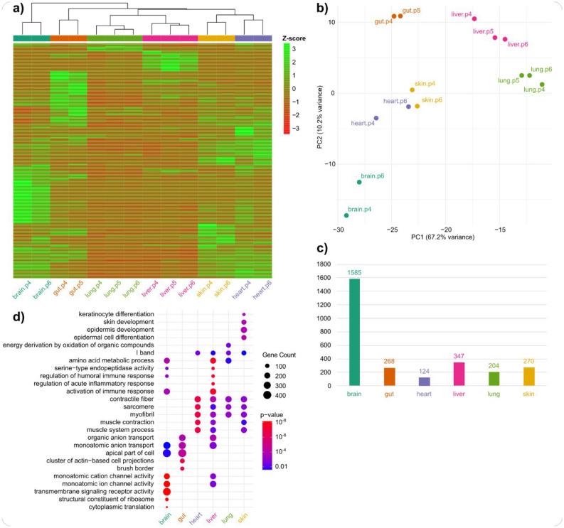 https://cdn.ncbi.nlm.nih.gov/pmc/blobs/528b/12319086/1755c1fff4b3/41598_2025_10073_Fig2_HTML.jpg