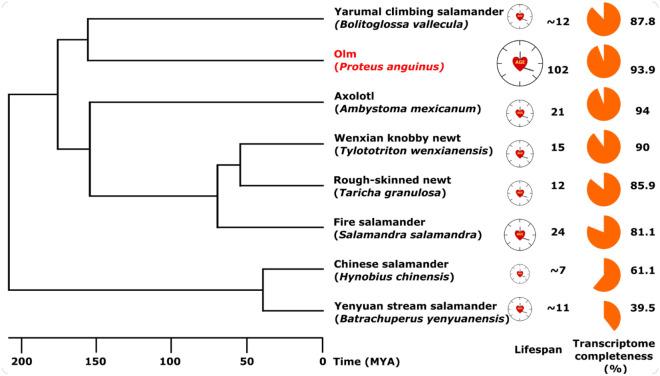 https://cdn.ncbi.nlm.nih.gov/pmc/blobs/528b/12319086/47f0375b0d96/41598_2025_10073_Fig1_HTML.jpg