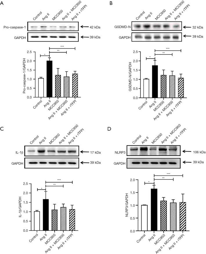 https://cdn.ncbi.nlm.nih.gov/pmc/blobs/5291/10904294/e4f773af550f/cdt-14-01-72-f6.jpg
