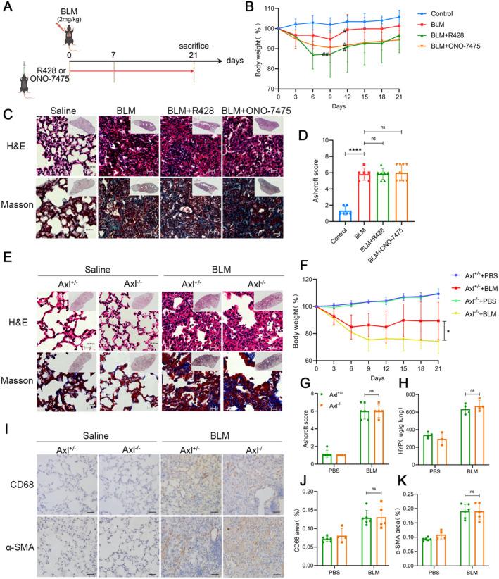 https://cdn.ncbi.nlm.nih.gov/pmc/blobs/5292/11710931/1aebf43cd3cf/JCMM-29-e70321-g010.jpg