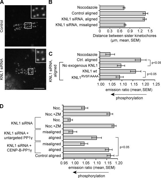 https://cdn.ncbi.nlm.nih.gov/pmc/blobs/5293/2845083/fd16bc1600ca/JCB_201001006_GS_Fig3.jpg