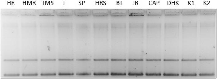 https://cdn.ncbi.nlm.nih.gov/pmc/blobs/5295/10880293/a7565fc033d4/12906_2024_4394_Fig1_HTML.jpg
