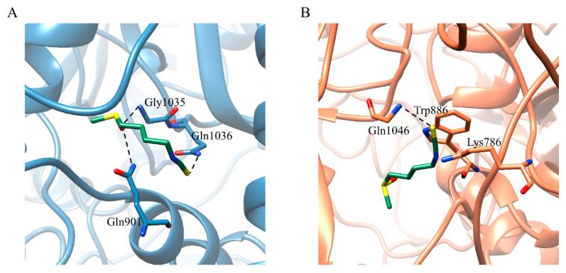 https://cdn.ncbi.nlm.nih.gov/pmc/blobs/5297/10094189/6258c4e9313d/ijms-24-06281-g003.jpg