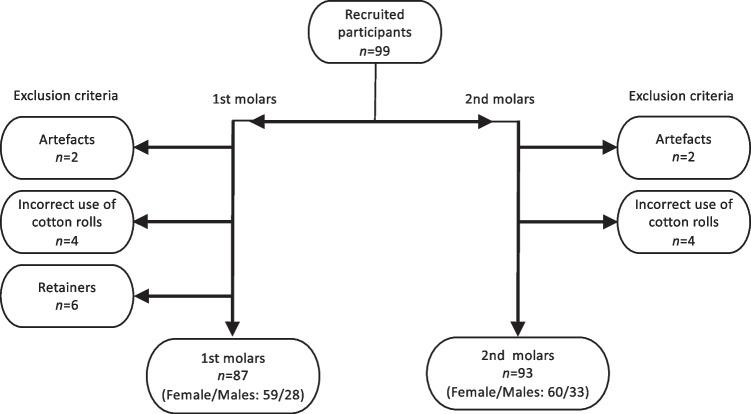 https://cdn.ncbi.nlm.nih.gov/pmc/blobs/5298/10421773/6554ebd57410/414_2023_3055_Fig2_HTML.jpg