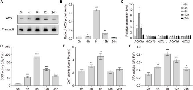 https://cdn.ncbi.nlm.nih.gov/pmc/blobs/5298/6470631/1274ed58d87a/fpls-10-00468-g002.jpg