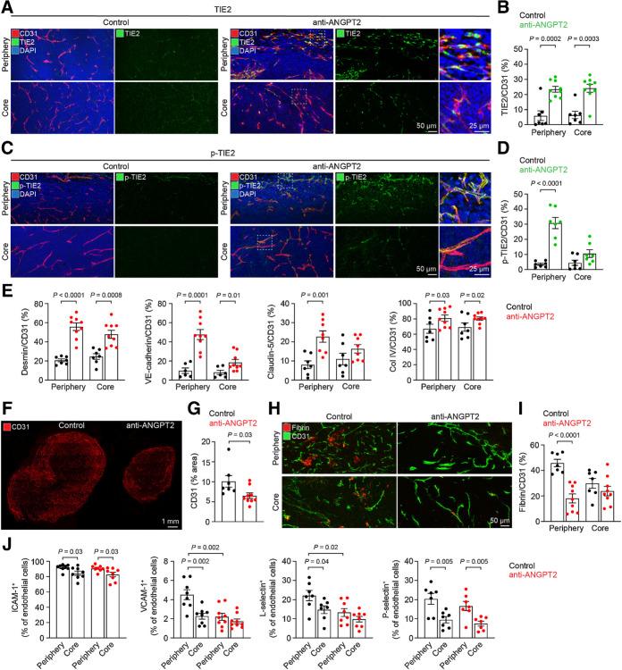 https://cdn.ncbi.nlm.nih.gov/pmc/blobs/529a/10267677/6618ae4599d4/1968fig3.jpg