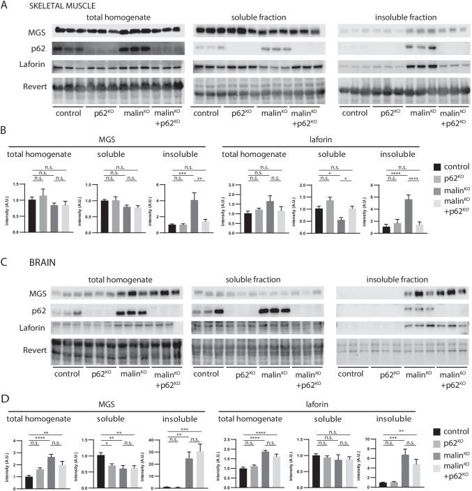 https://cdn.ncbi.nlm.nih.gov/pmc/blobs/529a/8857170/2a6705a7ef5e/12035_2021_2682_Fig3_HTML.jpg