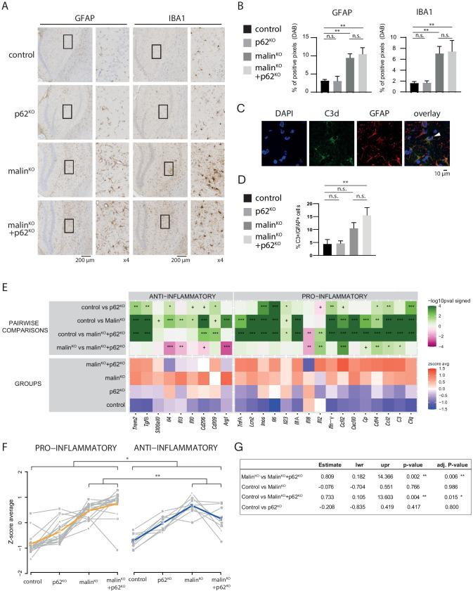 https://cdn.ncbi.nlm.nih.gov/pmc/blobs/529a/8857170/bf2ac498b9f3/12035_2021_2682_Fig5_HTML.jpg