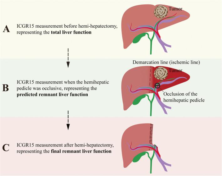 https://cdn.ncbi.nlm.nih.gov/pmc/blobs/529f/12082978/939143ac3f1c/12885_2025_14296_Fig2_HTML.jpg