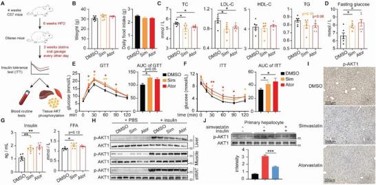 https://cdn.ncbi.nlm.nih.gov/pmc/blobs/52a3/11425881/31fdce8d02c1/ADVS-11-2403451-g006.jpg