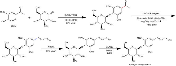 https://cdn.ncbi.nlm.nih.gov/pmc/blobs/52a4/11298447/2b5bb717bfb5/fphar-15-1435524-g004.jpg