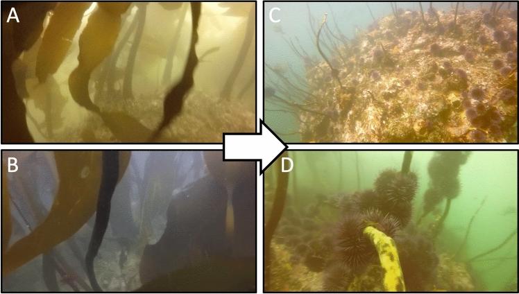 https://cdn.ncbi.nlm.nih.gov/pmc/blobs/52a5/11059377/96fbea47a128/41598_2024_59964_Fig2_HTML.jpg
