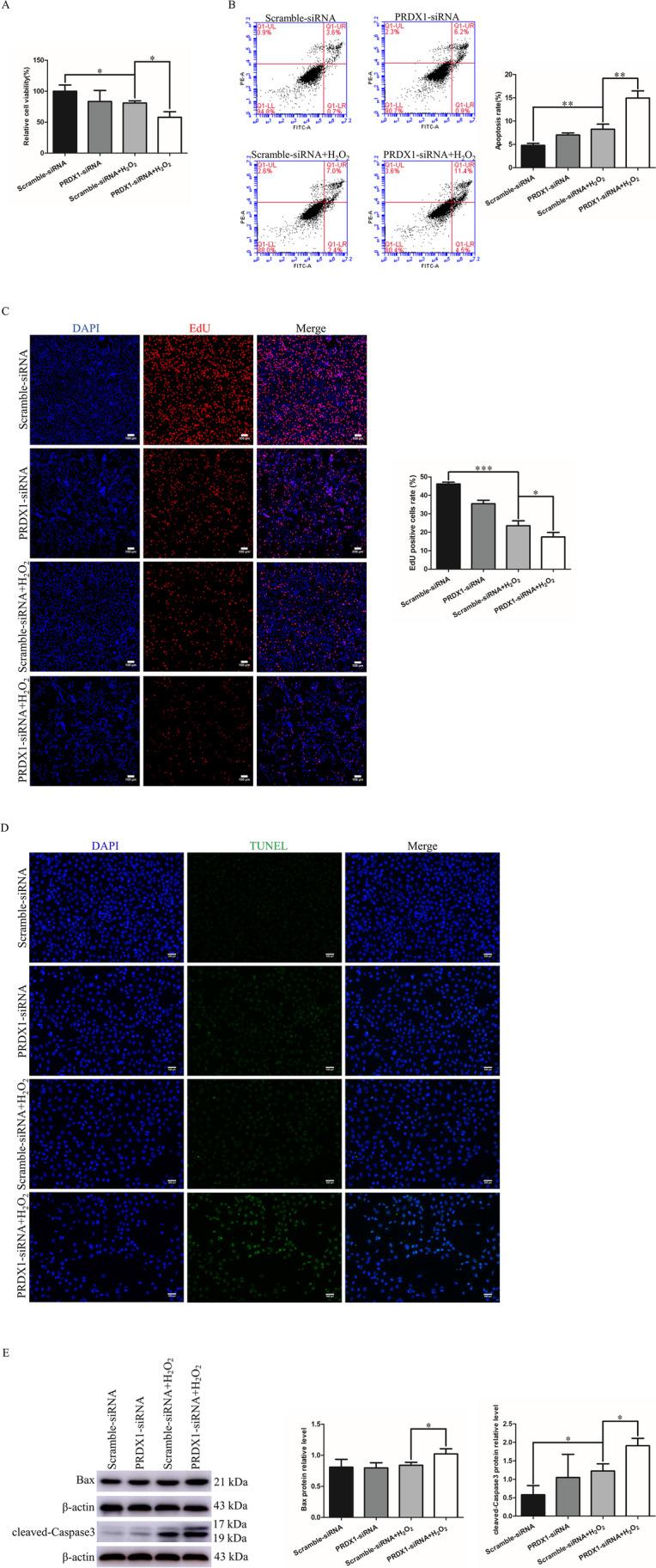 https://cdn.ncbi.nlm.nih.gov/pmc/blobs/52a6/10352211/f33c3015152e/10815_2023_2820_Fig4_HTML.jpg