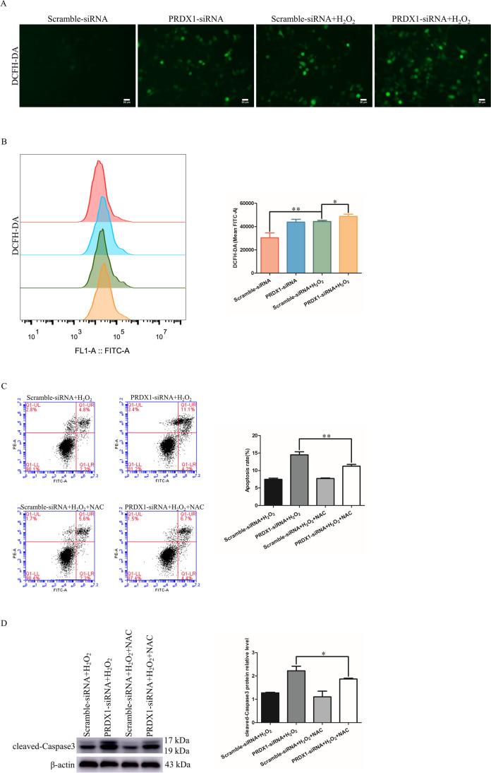 https://cdn.ncbi.nlm.nih.gov/pmc/blobs/52a6/10352211/f85d399b8168/10815_2023_2820_Fig6_HTML.jpg