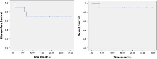https://cdn.ncbi.nlm.nih.gov/pmc/blobs/52a8/4014138/ad37b10e8324/1748-717X-9-83-3.jpg