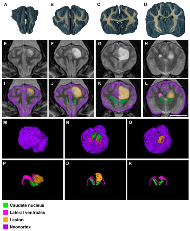 https://cdn.ncbi.nlm.nih.gov/pmc/blobs/52aa/10215491/d345d55136bc/animals-13-01601-g006.jpg