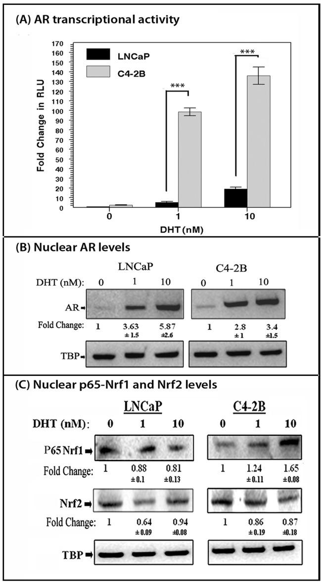 https://cdn.ncbi.nlm.nih.gov/pmc/blobs/52ab/3899380/33eb2f60e85c/pone.0087204.g001.jpg