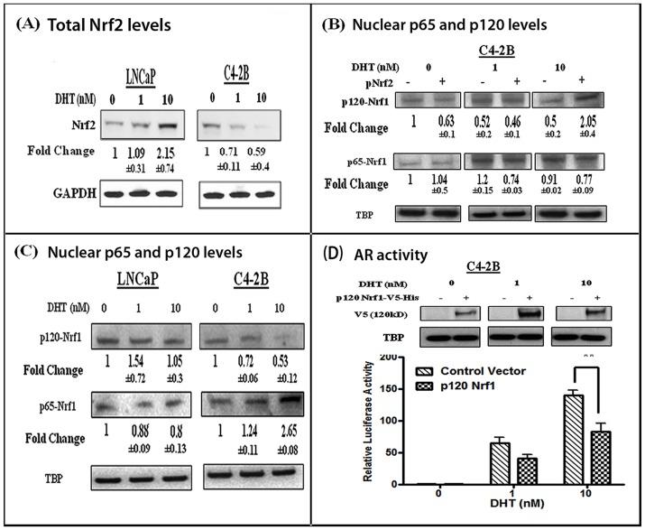 https://cdn.ncbi.nlm.nih.gov/pmc/blobs/52ab/3899380/71f3cf569a60/pone.0087204.g005.jpg