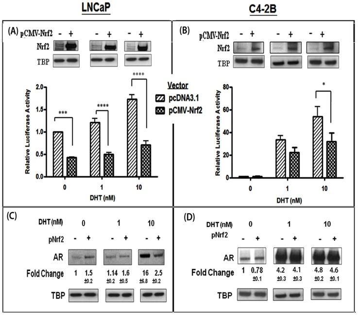 https://cdn.ncbi.nlm.nih.gov/pmc/blobs/52ab/3899380/e04492fdf9f1/pone.0087204.g003.jpg