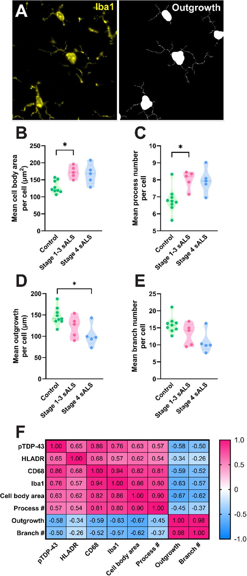 https://cdn.ncbi.nlm.nih.gov/pmc/blobs/52b0/11844090/4becf5ca268f/40478_2025_1941_Fig2_HTML.jpg